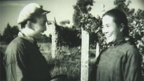 葡萄熟了的时候