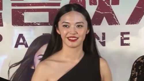 《梦想合伙人》首映礼 姚晨承认怀孕：“已用实际行动响应二胎政策”
