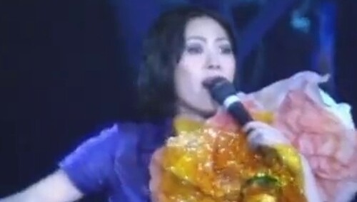 关淑怡《地老天荒》