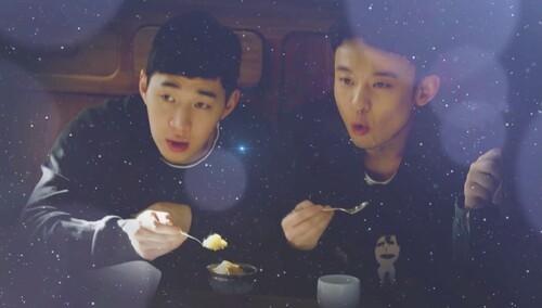 大华董子健兄弟情深齐看流星