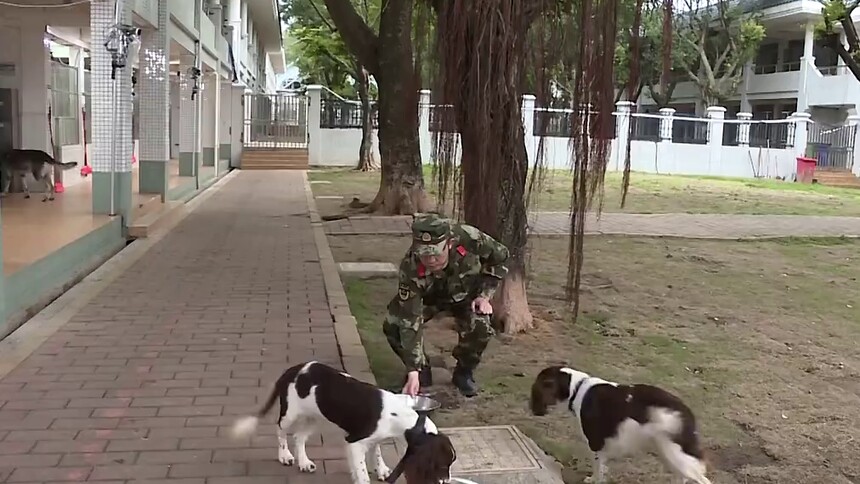 《奇兵神犬》花絮：沙溢糗大了！完全管不住都乐的训犬员