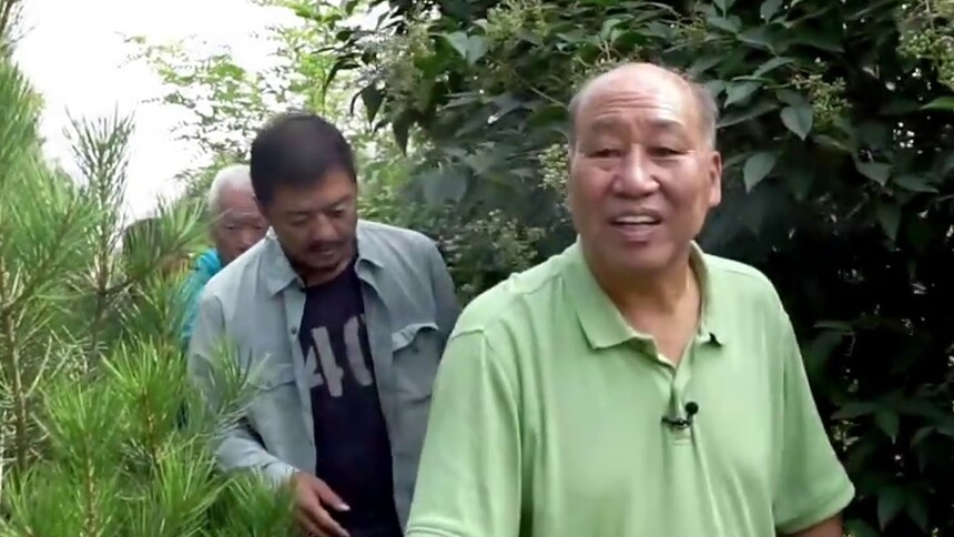 李亚鹏陕西深山亲自砍树 不幸被马蜂蜇至毁容