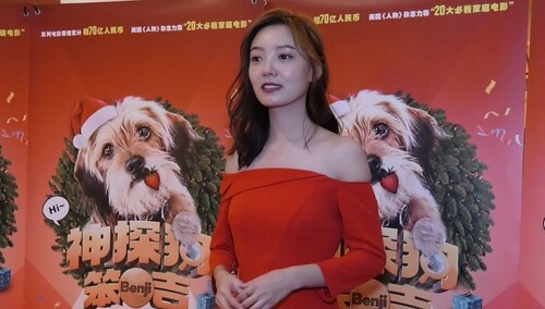 《神探狗笨吉》口碑视频 “笨吉精神”感动观众