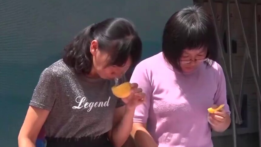 资兴：“桃王”竞拍助扶贫