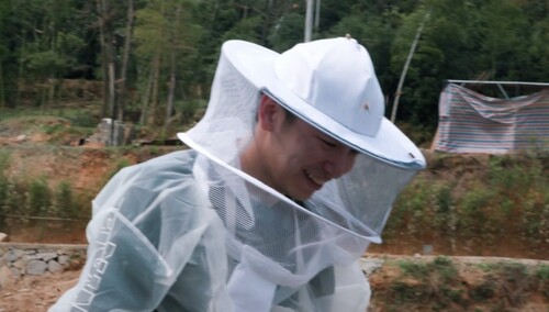 蛰一个包换十块钱！彭彭露着脚踝去采蜜，成功地用生命赚了20块