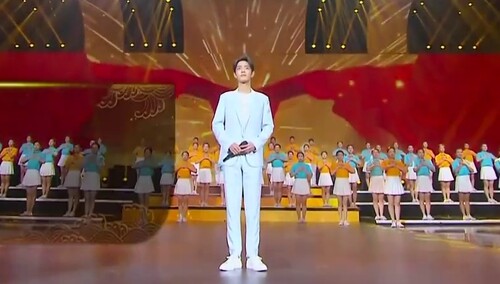 肖战《我的中国心》现场版