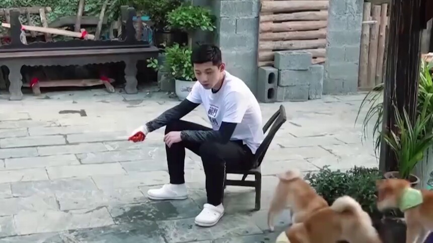 《向往的生活》张继科早起喂盆妹吃饭被无视，不假辞色却让张继科恋恋不忘