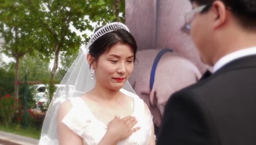 《小Q》因狗结缘特辑 导盲犬牵线当红娘