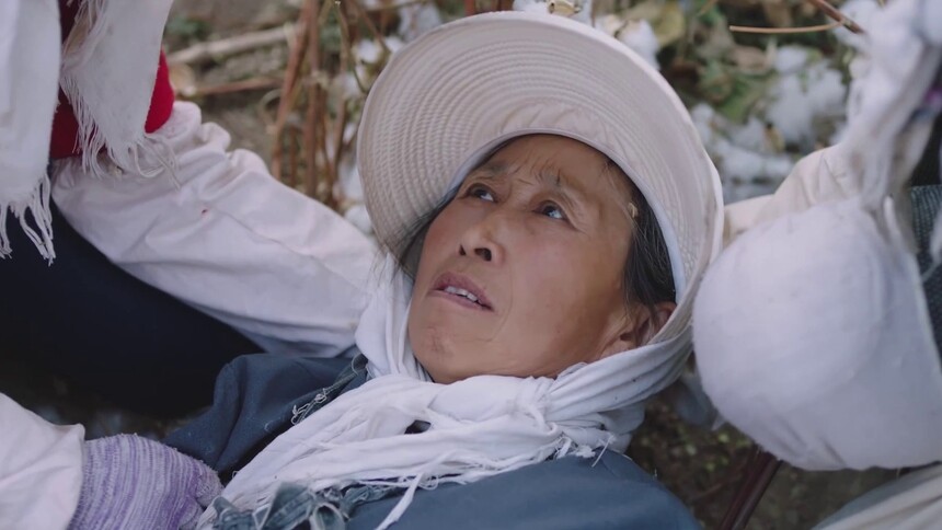 花开时节 第23集