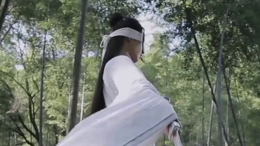 【陈情令】宋继扬版晓星尘个人向混剪，面如冠玉 仙气满满
