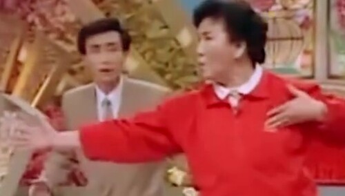 回顾赵丽蓉老师的作品 带来的欢笑永远刻在心中！