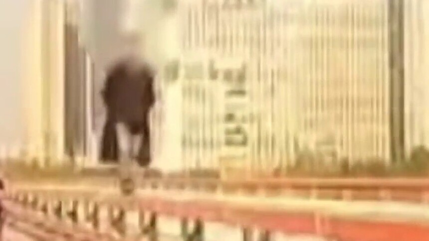 男子桥上“凌波微波”竟是为了这？
