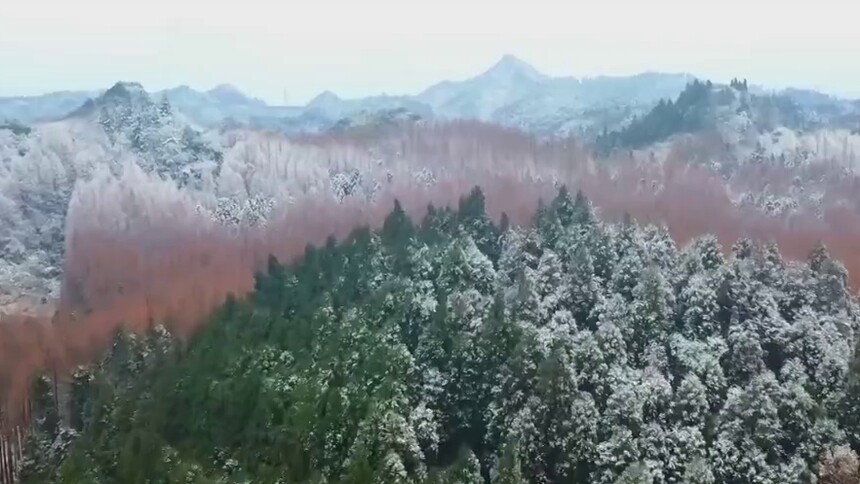 重庆山王坪：四季色彩同聚一山