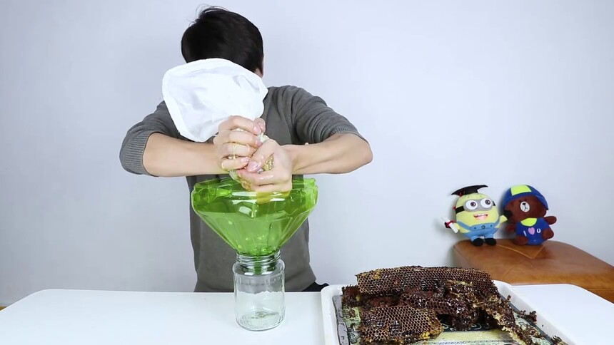 【衣谷水原egg】为什么蜂巢蜜比蜂蜜贵？靓仔买一大块蜂巢蜜，看看能榨出多少蜂蜜？