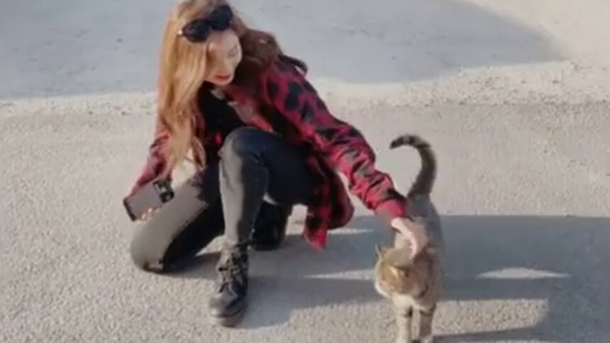 【李兰迪】我也是有猫吸的人了