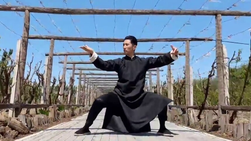 杨德战影子太极助力复工复产｜果园的农民