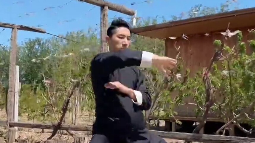 杨德战影子太极助力复工复产｜齐心协力