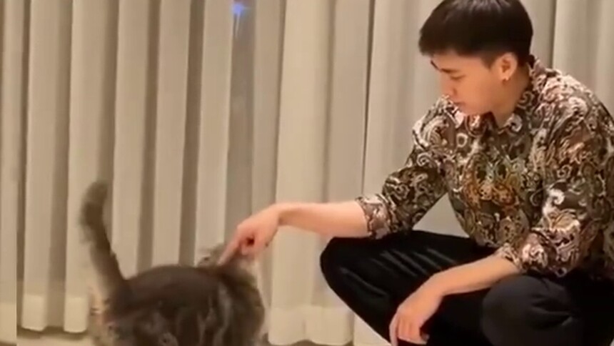 李易峰rua猫手段高明，从小心试探到欲擒故纵，快拿小本本记下来啦！