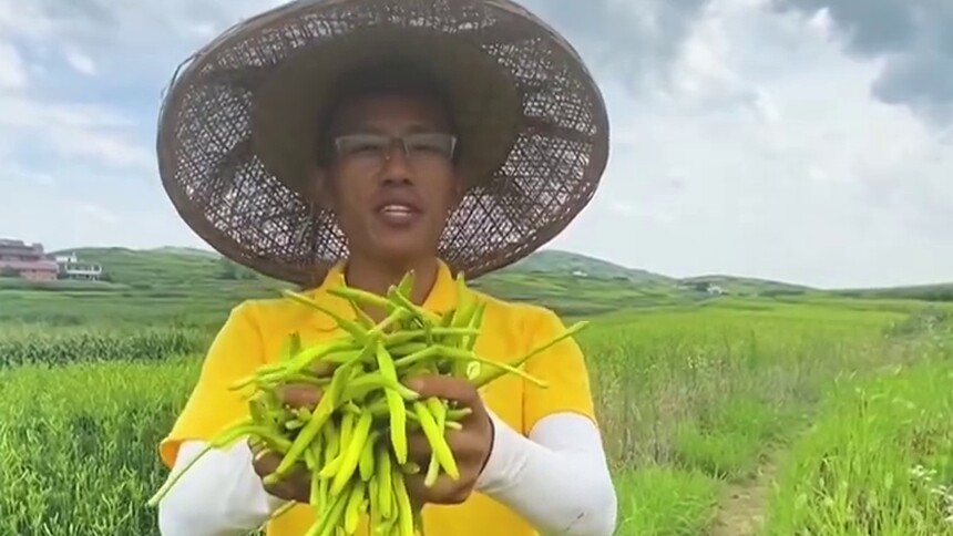 湘村小伟：直播卖黄花菜