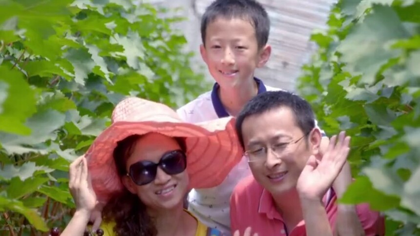 河北广宗：小葡萄变身致富“金串串”