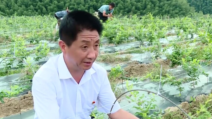 党旗飘扬在脱贫攻坚一线 杨迪波：愿将初心化痴心
