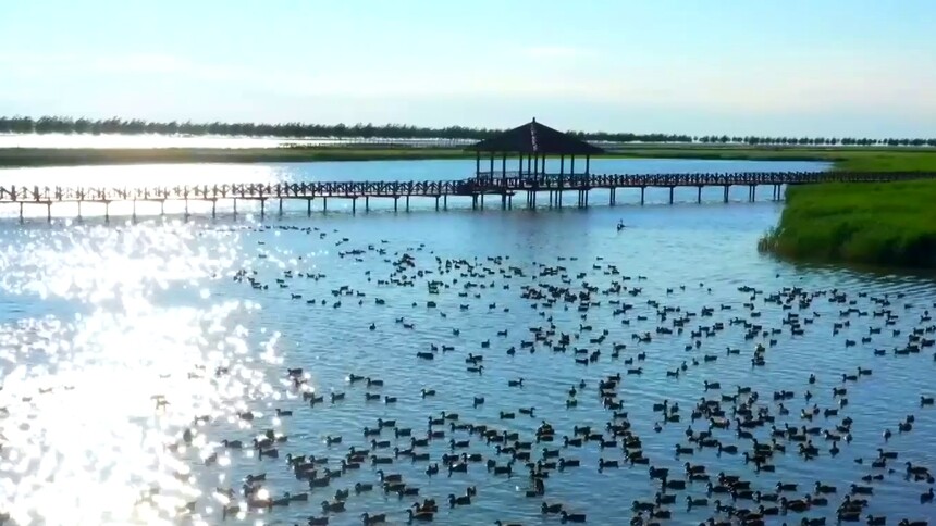 吉林前郭《金字招牌查干湖》