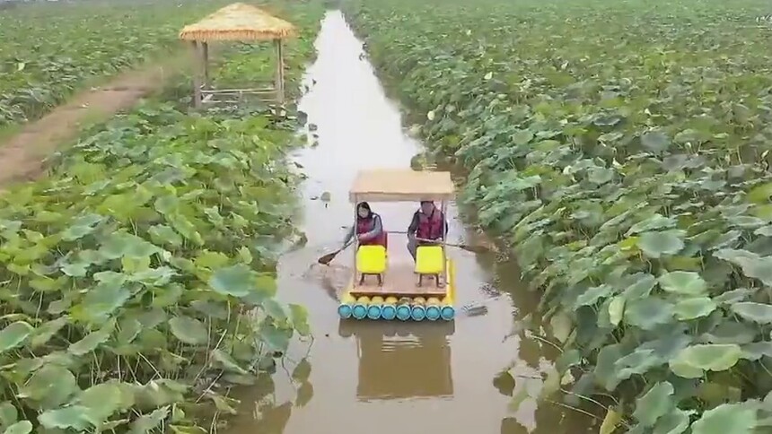 “活力”金秋看“十一”