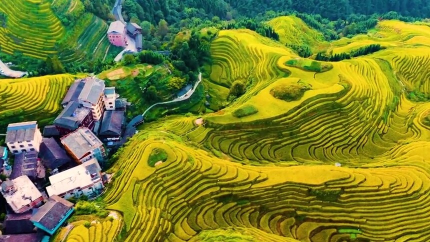 广西 桂林龙脊梯田