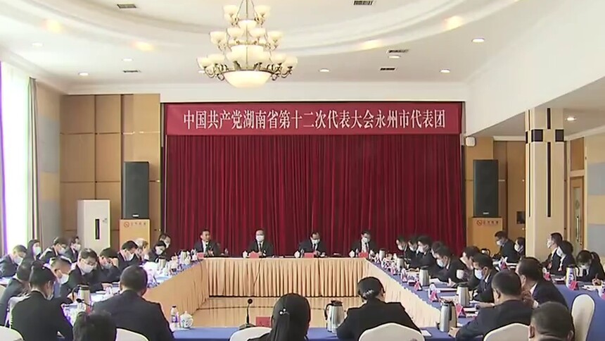王成、许显辉参加永州代表团讨论