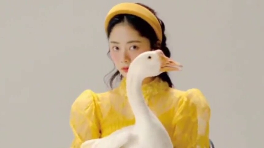 谭松韵复古童话大片，太美了吧！