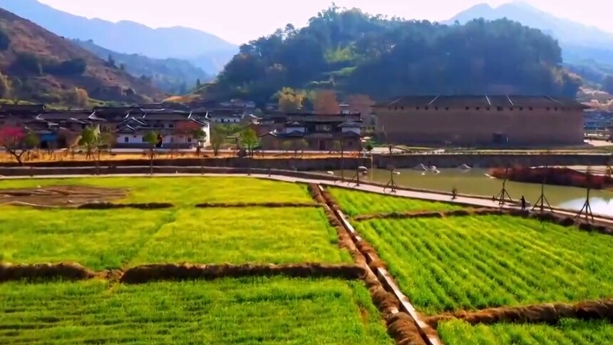 福建华安：土楼又逢春