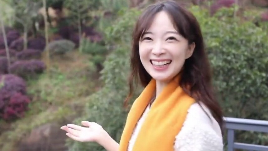 【张扬Vlog】探访武夷山茶园