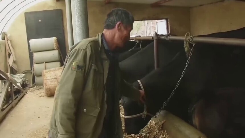 马俊林的养牛致富经