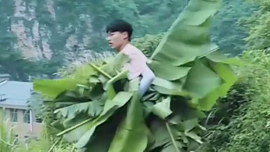 变形前辈杨桐晋身农活高手，懵系少年要回家啦