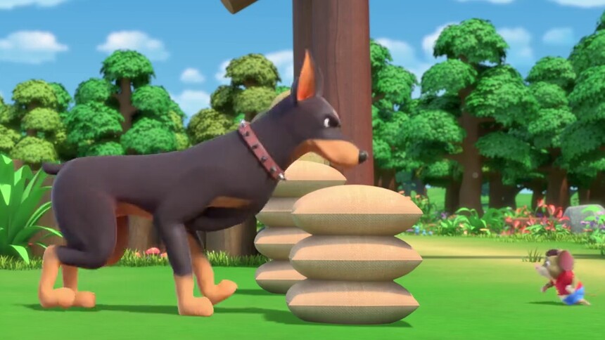 庞克与小猎犬开始比赛了 机智的胖老鼠