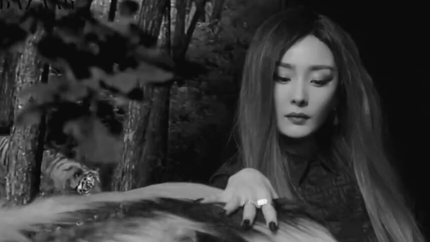 【时尚芭莎】一月刊：杨幂 “虎女”四部曲——观察、静待、出击、收获，向心中目标发起冲刺