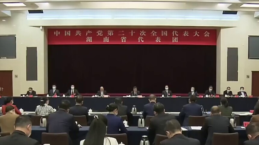 湖南代表团举行全体会议 张庆伟主持并讲话 毛伟明朱国贤等出席