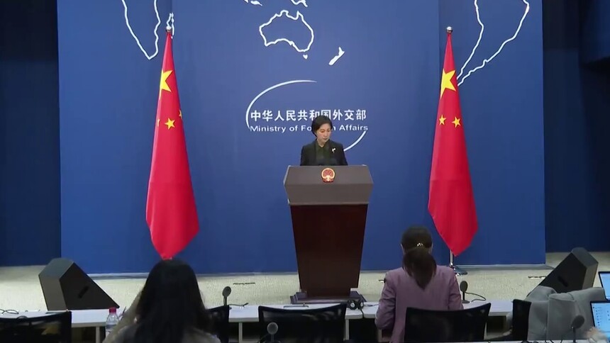 外交部发言人回应达苏恐袭案宣判