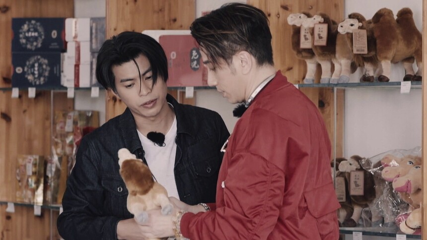 骑行经费告急 吴卓羲仁科竟买了两只骆驼？