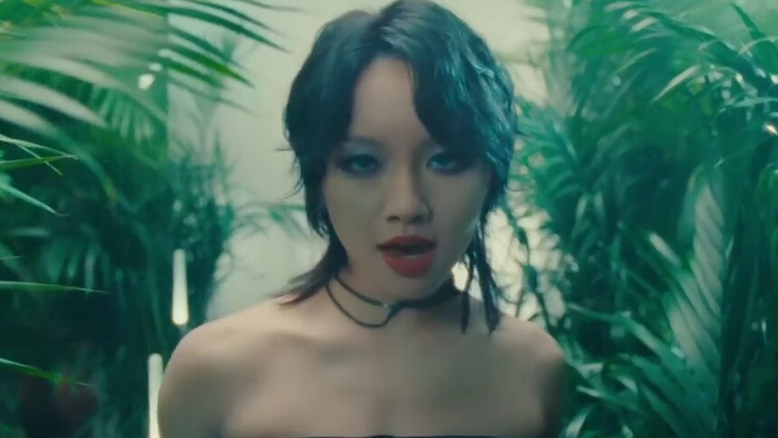 【陈乐一】首张个人专辑《黑白森林》主打曲《迷雾森林》MV