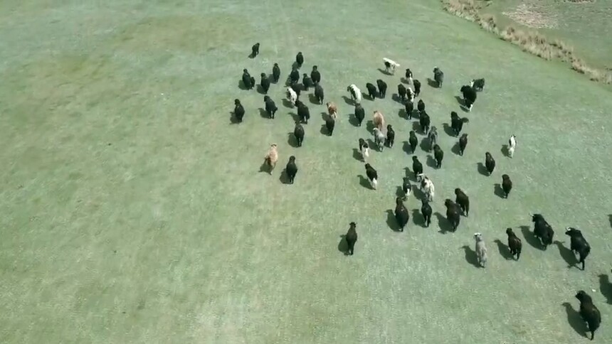 四季旅行｜新疆温宿：帕克勒克草原壮美如画