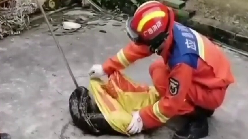 广西陆川：村民家中发现蟒蛇 消防野外放生