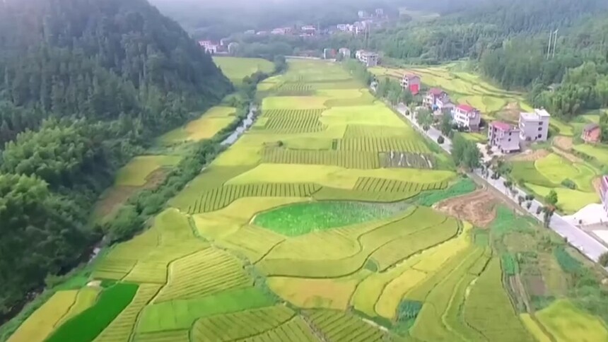 中国粮·湖南饭 邵阳：推广“良种 良法 良田” 做优“邵阳红”公共品牌