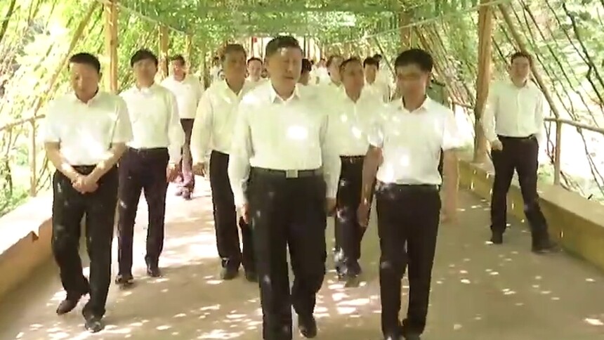 时政现场说丨小葡萄“串”起乡村振兴大产业