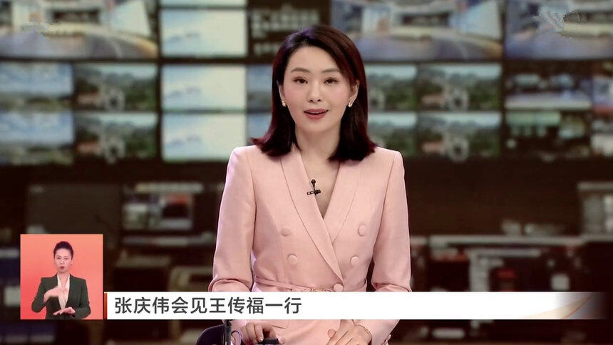 张庆伟会见王传福一行