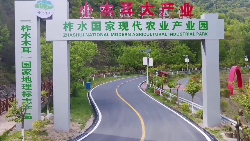 【习声回响】小木耳 大产业 新乡村