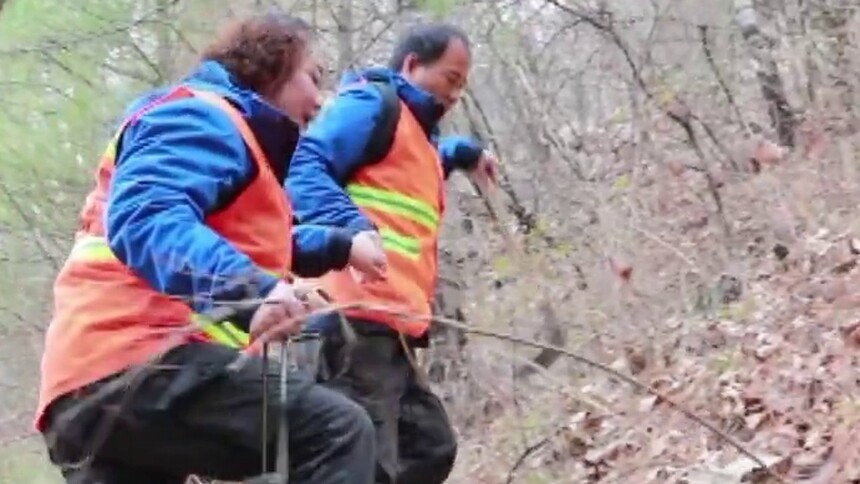 舍家为林！用情守青山的林场“夫妻哨”：张彦明、苟冬云