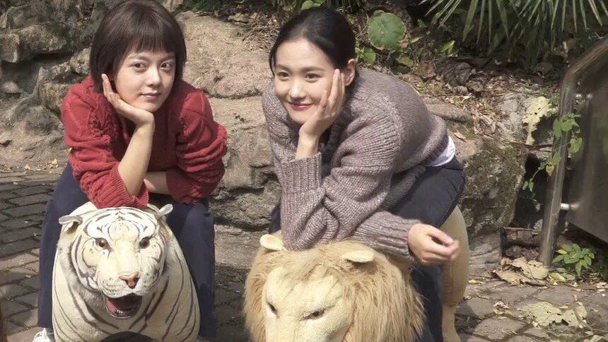 罗琦琦葛晓菲的动物园拍照之旅 罗琦琦被叫阿姨？