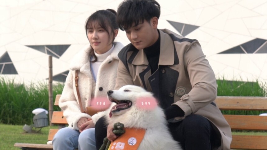 《甜蜜的你》花絮：黄子韬王鹤润片场沉浸式rua狗时刻