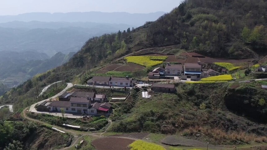 网络电影 童乐园